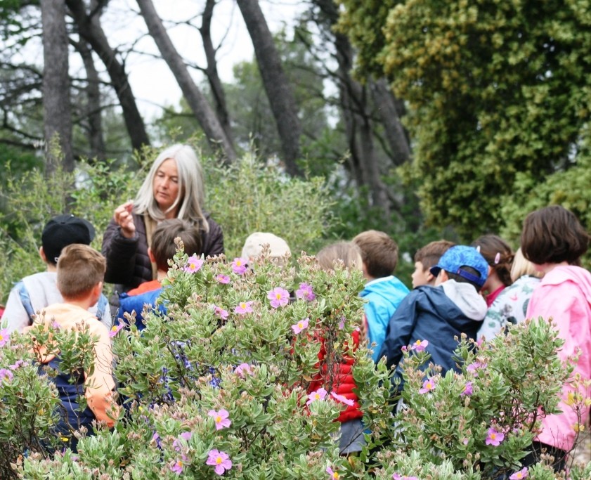 Sortie scolaire nature : Allons herboriser ! - Expérience Côte d'Azur