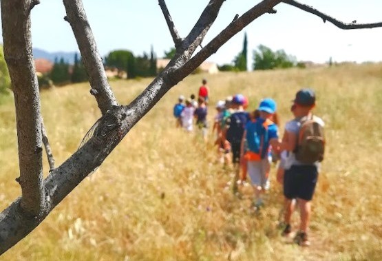 Sortie scolaire nature : Attrap'insectes ! - Expérience Côte d'Azur
