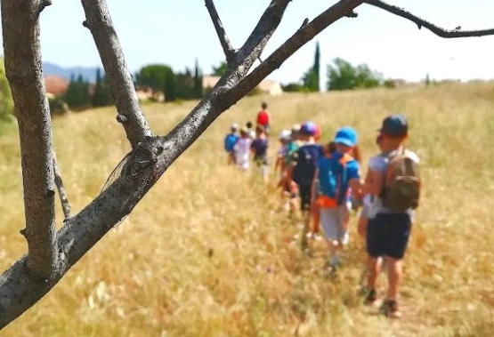 Sortie scolaire nature : Attrap'insectes ! - Expérience Côte d'Azur