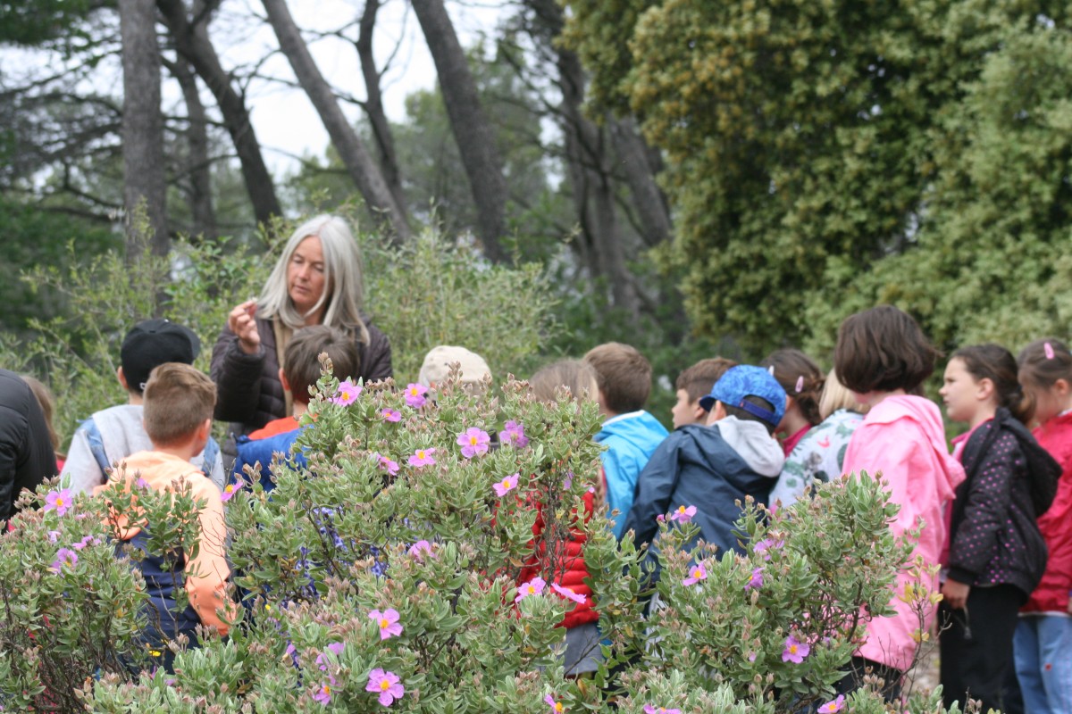 Sortie scolaire nature : Histoire de fleurs ! - Expérience Côte d'Azur