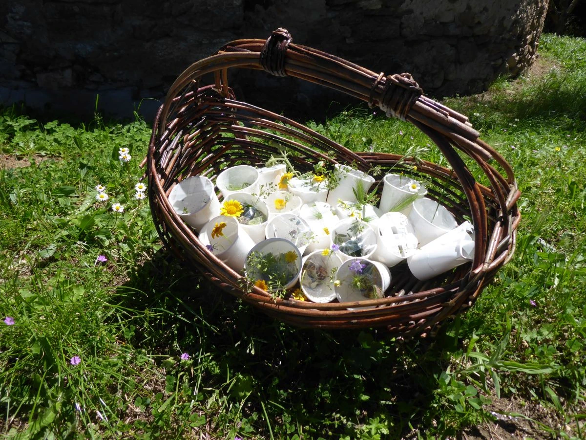 Sortie scolaire nature : Histoire de fleurs ! - Expérience Côte d'Azur