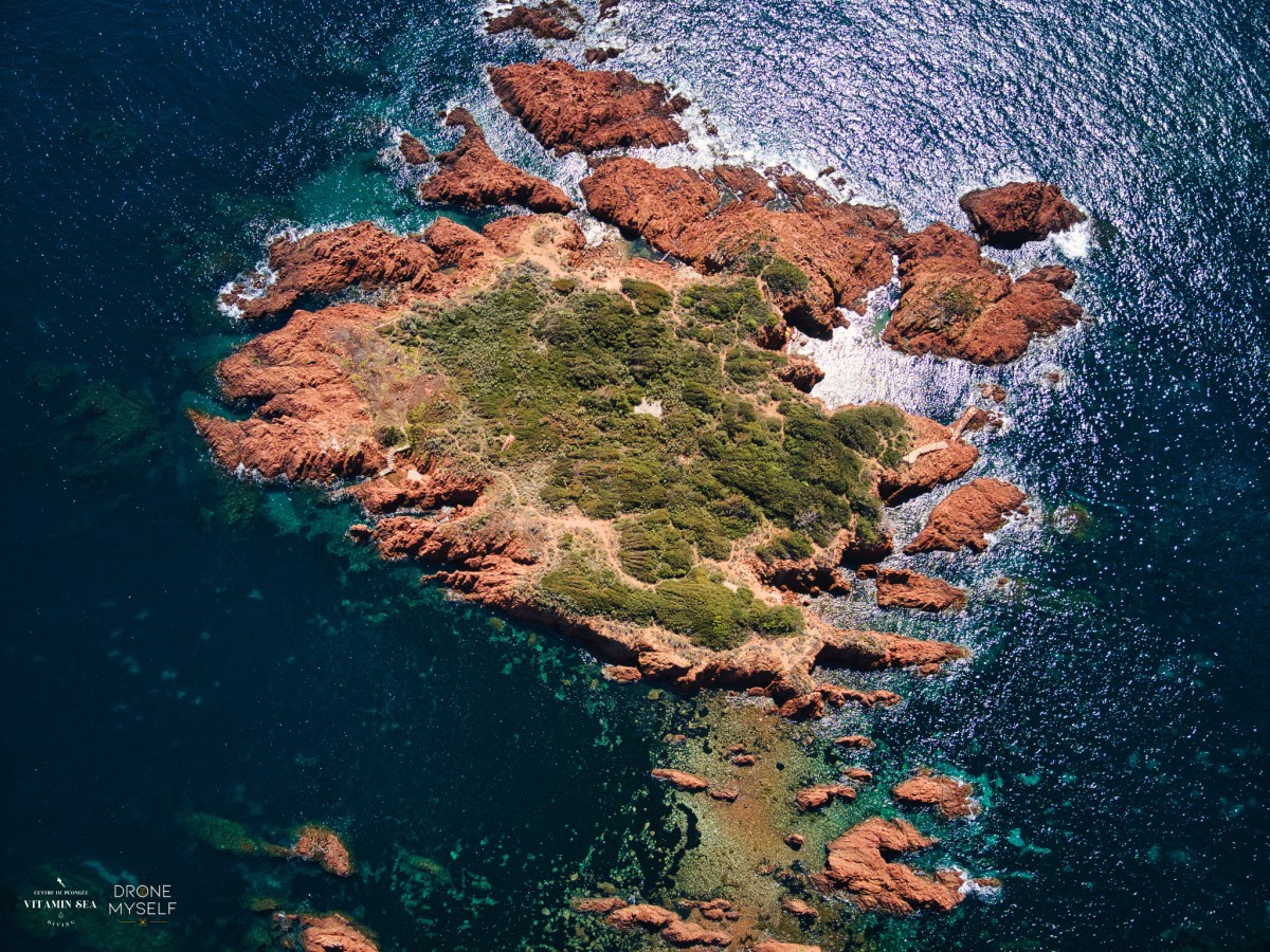 St-Raphaël : Snorkeling dans la réserve protégée du Cap Roux - Expérience Côte d'Azur