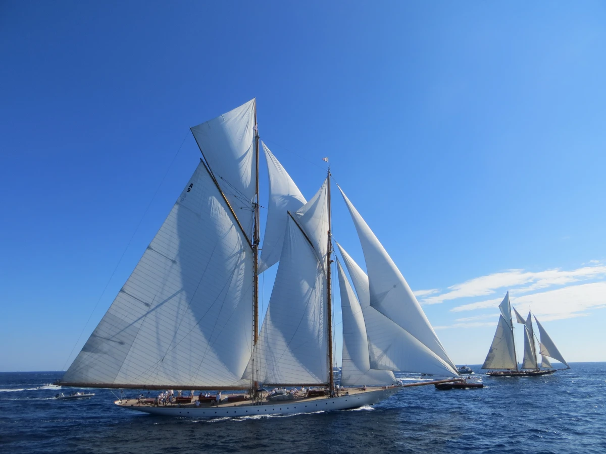 Suivi des voiles de Saint Tropez - Départ Saint Tropez - Expérience Côte d'Azur