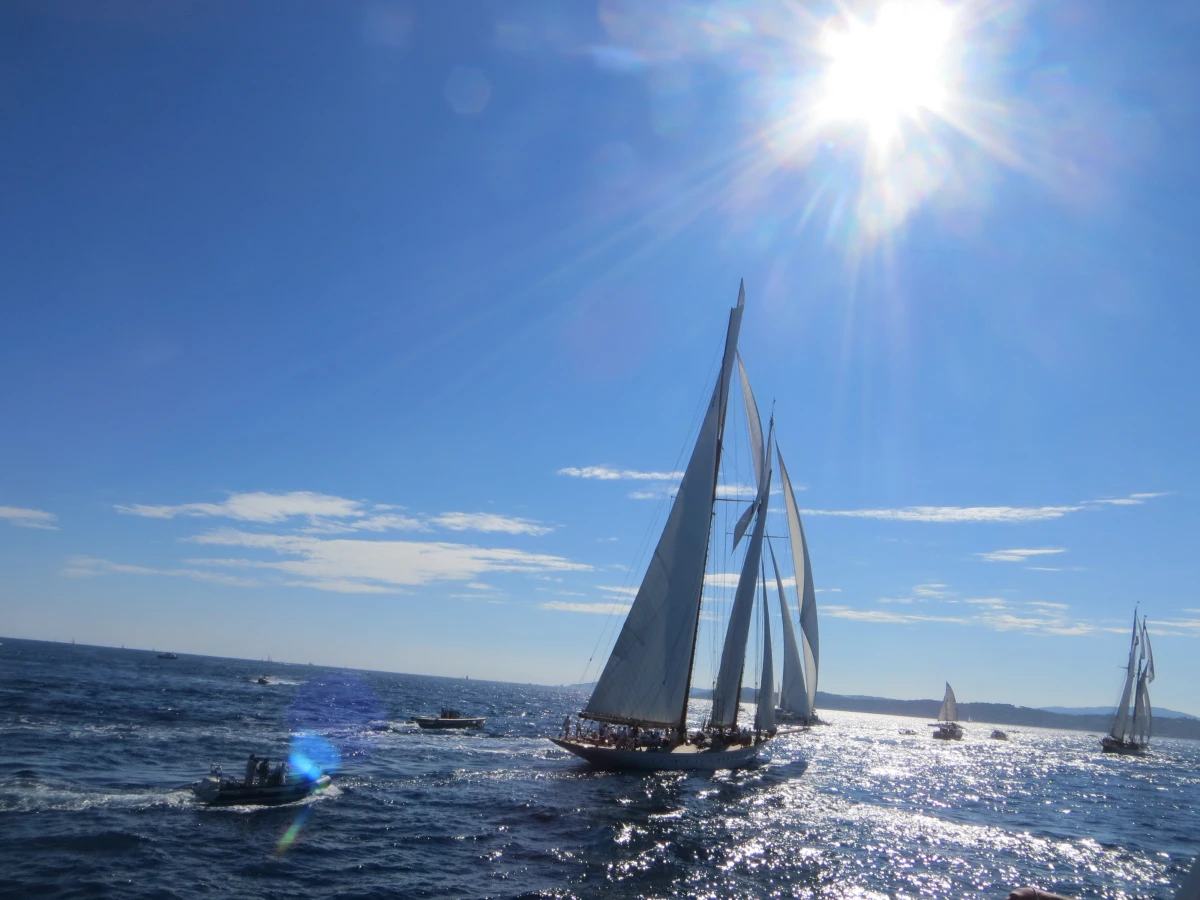Suivi des voiles de Saint Tropez - Départ Saint Tropez - Expérience Côte d'Azur