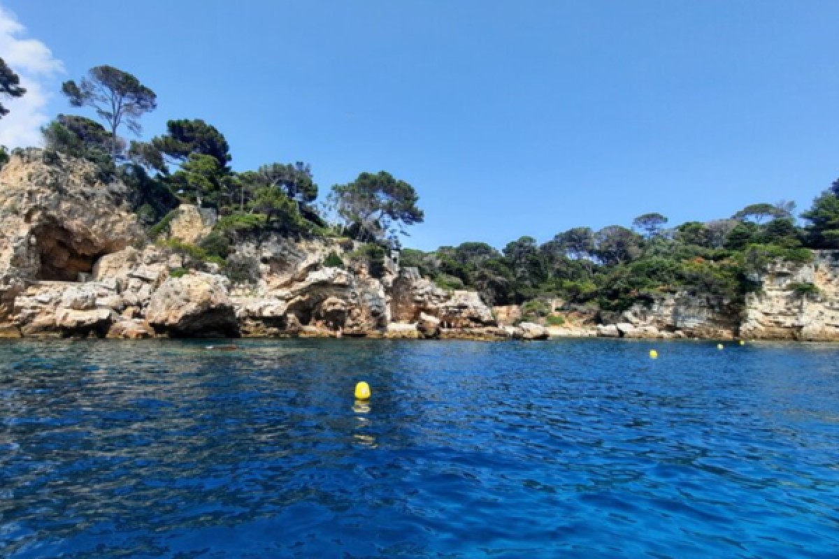 Tour privé en voilier-Baignade et paddle-Cap d'Antibes - Expérience Côte d'Azur