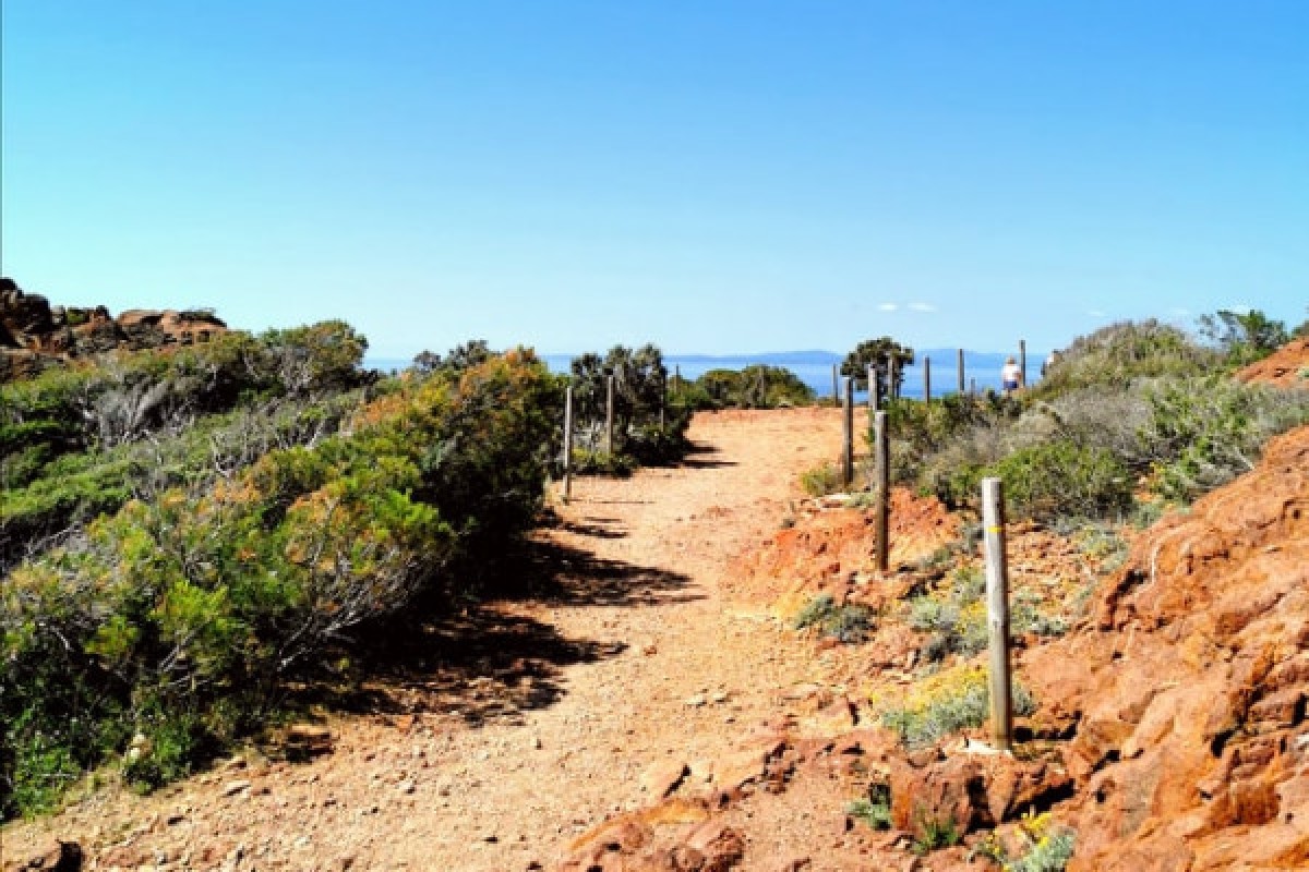 VISITE CAP DRAMONT - Expérience Côte d'Azur