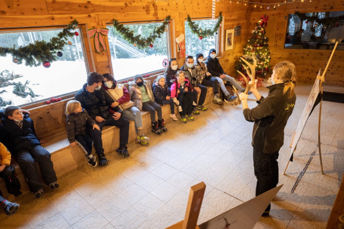 Visite guidée du Parc Alpha - Expérience Côte d'Azur