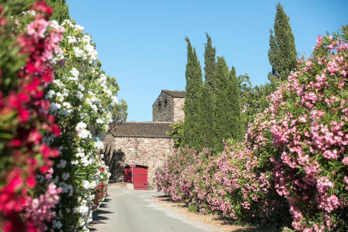 Visites gourmandes au Château de Cabran - Expérience Côte d'Azur