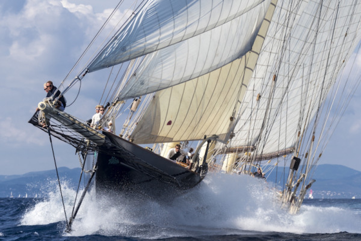 Voiles de St-Tropez - Expérience Côte d'Azur