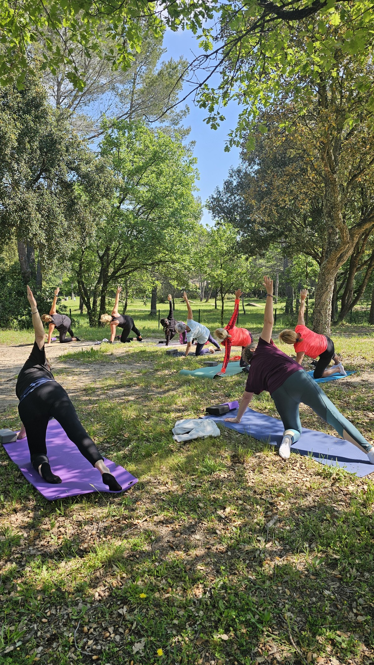 YOGA CONNECTE au parc de la villa Aurélienne. - Expérience Côte d'Azur
