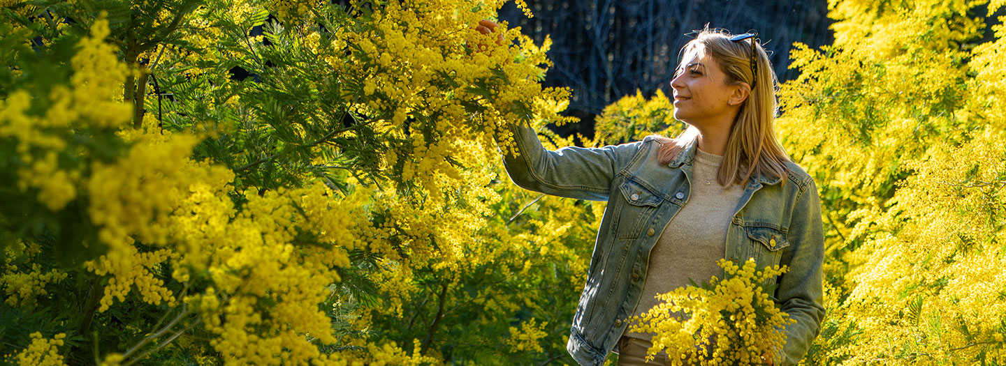 Expérience côte d'azur - réservez vos activités en ligne